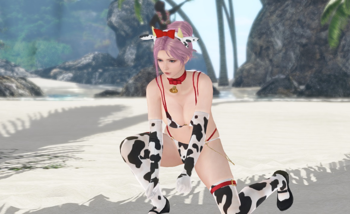 DOAXVV SSR水着